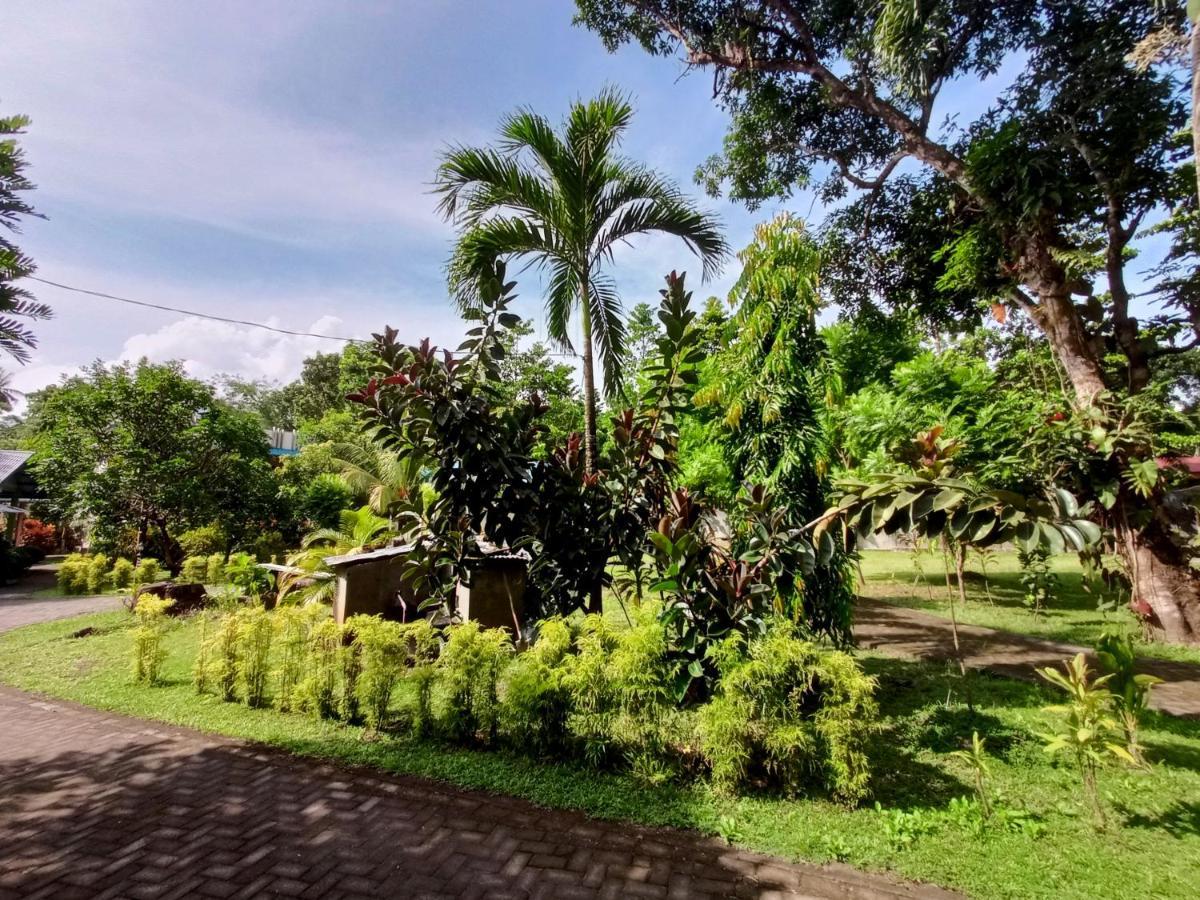 Tangkoko Lodge Bitung Exteriör bild