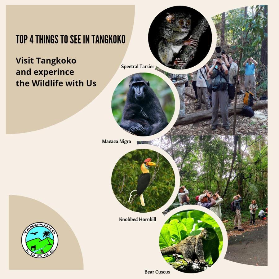 Tangkoko Lodge Bitung Exteriör bild